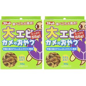 【メーカー直販】コメット【2個セット】【大きなエ...の商品画像