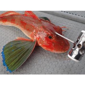 ダイワ シーホーク 300 遠投 / DAIWA SEAHAWK ENTO : 松本釣具店