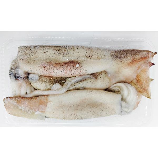 冷凍スルメイカ 新物 【寒ブリ】