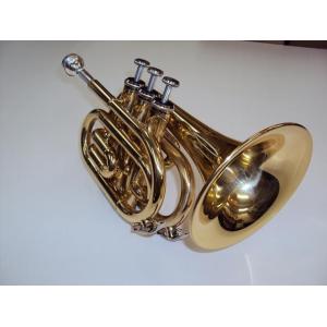 ♪Axis！ラスト【国内在庫処分】【新品】Eb/D トランペットJYTR