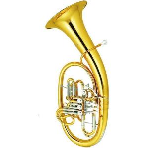 B♭管チューバ （J.Michael？）ケース付き値下げ交渉可 （直接引き取り） B♭管チューバ （J.Michael？）ケース付き値下げ交渉可 （直接