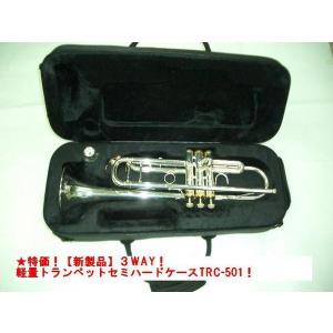 Nikkan No.2 Trumpet トランペット 現状品 -GrunSound-x759