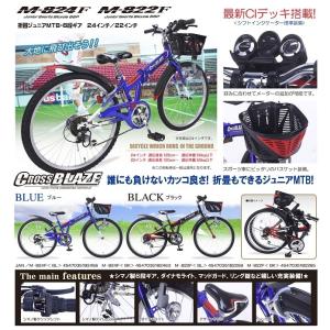 完売御礼 取寄 ミヤタ 一輪車 フラミンゴ エキスパート 24インチ 日本