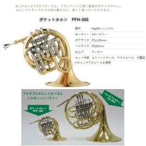 ♪日本初上陸Axis！【新品】新フリューゲル・ホーンレッドブラス