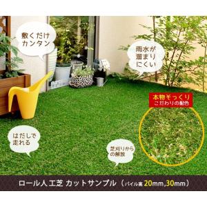 ロール人工芝 カットサンプル(芝丈20mm,3...の詳細画像1