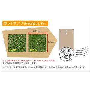 ロール人工芝 カットサンプル(芝丈20mm,3...の詳細画像2