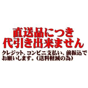 ホシザキ プレハブ式玄米保冷庫 160袋用 2...の詳細画像1