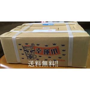 ニプロロータリー用 汎用爪 48本セット【東亜重工製/フランジタイプ/51-38A/適合要確認】｜itounouki