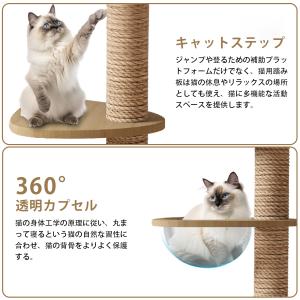 突っ張り キャットタワー 木製 キャットツリー...の詳細画像1