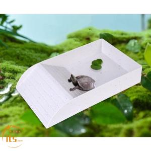 爬虫類 水入れ リクガメ 水入れ リクガメ セ...の詳細画像2