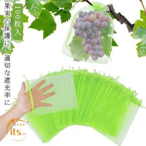 果実袋 100枚入 果実 掛け袋 防虫 果樹用資...の商品画像