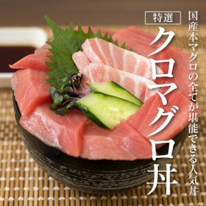 【特選】クロマグロ丼  国産の本マグロを使った高級鮪丼 鉄火丼 大トロ 中トロ 赤身など本まぐろを120g♪マグロ漬け丼やお刺身にも。お中元にも。