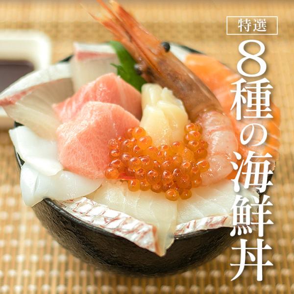 8種の海鮮丼（本マグロ・鯛・カンパチ・サーモン・イカ・ホタテ・海老・いくら） お刺身にも。お中元・お...