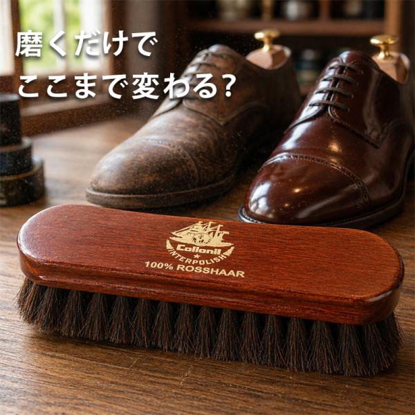 コロニル 馬毛ブラシ Collonil 1909 ホース ブラシ レザーケア 革 シューズケア 靴 ...
