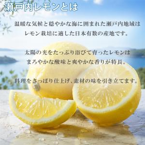 おひなたレモンタルト 12個入 3箱 レモンタ...の詳細画像3