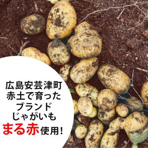 牡蠣まるごとせんべい 12枚入 1箱 マルイチ...の詳細画像3