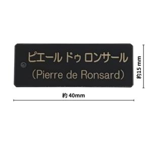 植物ネームプレート 名入れ刻印 オーダーネーム...の詳細画像2