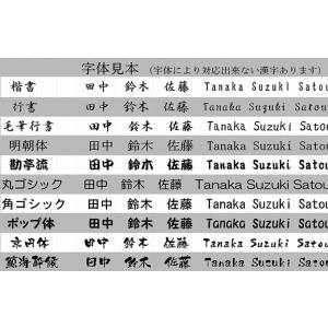 ネームプレート ネームタグ ミニサイズ 一列 ...の詳細画像4