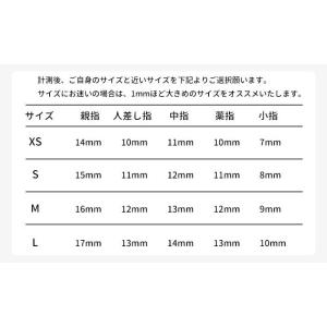 ネイルチップ 10枚入り アンティーク風 ブラ...の詳細画像5