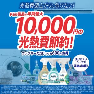 ファブリーズ W除菌+消臭スプレー 布用 香り...の詳細画像5