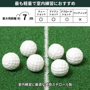 Tabata(タバタ) ゴルフ 練習用 ボール...の詳細画像2