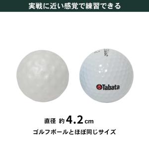 Tabata(タバタ) ゴルフ 練習用 ボール...の詳細画像3