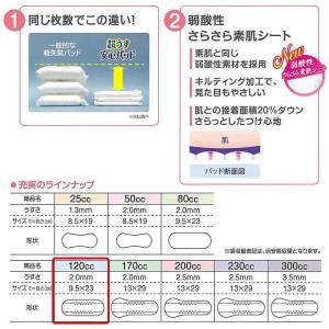 【当日発送】 尿もれが少し気になる女性に 男性...の詳細画像2