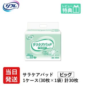 ライフリー いつもの下着で安心パッド 100cc / 58491→58084 22枚