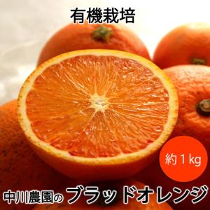 中川農園の有機ブラッドオレンジ 有機栽培 愛媛県産 混在約１kg モロ種タロッコ種混在 ＊送料込　＊常温便発送｜いっとうもの