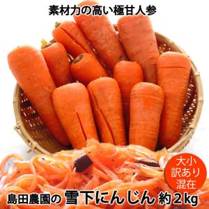 島田農園の雪下にんじん 訳あり品大小混在 約２kg 減農薬特別栽培