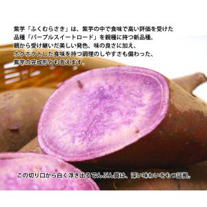 紫芋 マルツボの ふくむらさき 減農薬 特別栽...の詳細画像2