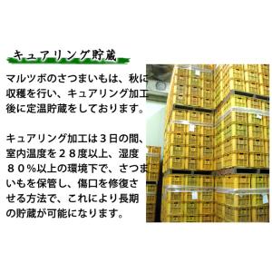 紫芋 マルツボの ふくむらさき 減農薬 特別栽...の詳細画像4