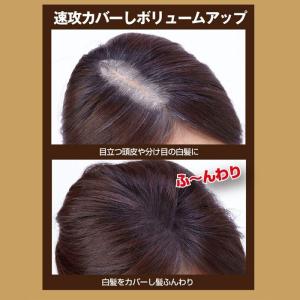 ヘアスプレー メンズ 人気 メンズヘアカラー 白髪染め の商品一覧 メンズヘアケア コスメ 美容 ヘアケア 通販 Yahoo ショッピング