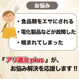 アリ退治プラス24個入 (プロ仕様) 送料無料...の詳細画像1