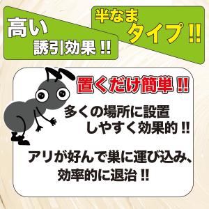 アリ退治プラス24個入 (プロ仕様) 送料無料...の詳細画像2