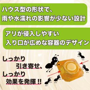 アリ退治プラス24個入 (プロ仕様) 送料無料...の詳細画像3