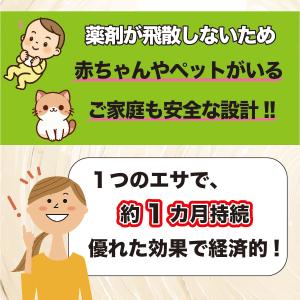 アリ退治プラス24個入 (プロ仕様) 送料無料...の詳細画像4