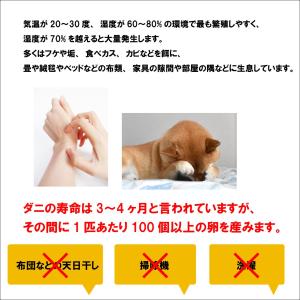 ダニシート10枚入(グリーン) 日本製 送料無...の詳細画像3