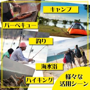 オニヤンマシール10枚入 日本製 送料無料 防...の詳細画像3
