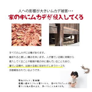 ムカデちゃんアウト20個入 日本製 送料無料 ...の詳細画像2