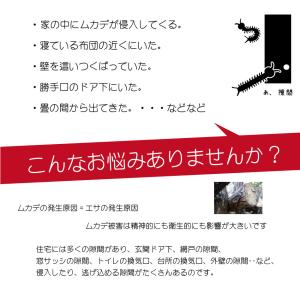 ムカデちゃんアウト20個入 日本製 送料無料 ...の詳細画像3