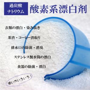 酸素系漂白剤5kg 日本製 送料無料 漂白剤 ...の詳細画像1