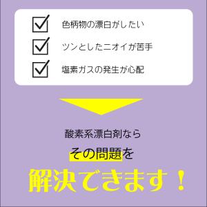 酸素系漂白剤5kg 日本製 送料無料 漂白剤 ...の詳細画像2