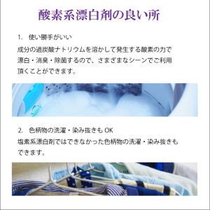 酸素系漂白剤5kg 日本製 送料無料 漂白剤 ...の詳細画像3