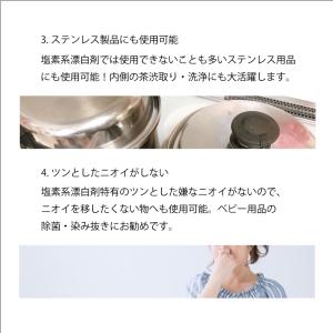 酸素系漂白剤5kg 日本製 送料無料 漂白剤 ...の詳細画像4