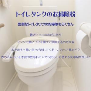 トイレタンク洗浄剤10包入 日本製 送料無料 ...の詳細画像1