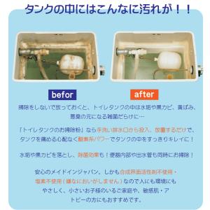 トイレタンク洗浄剤10包入 日本製 送料無料 ...の詳細画像2
