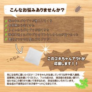 ゴキちゃんアウト10個入 日本製 送料無料 国...の詳細画像1