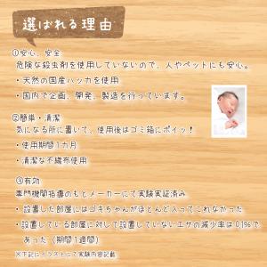 ゴキちゃんアウト10個入 日本製 送料無料 国...の詳細画像2
