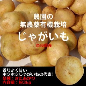 新じゃがいも　無農薬・無化学肥料栽培 　きたあかり